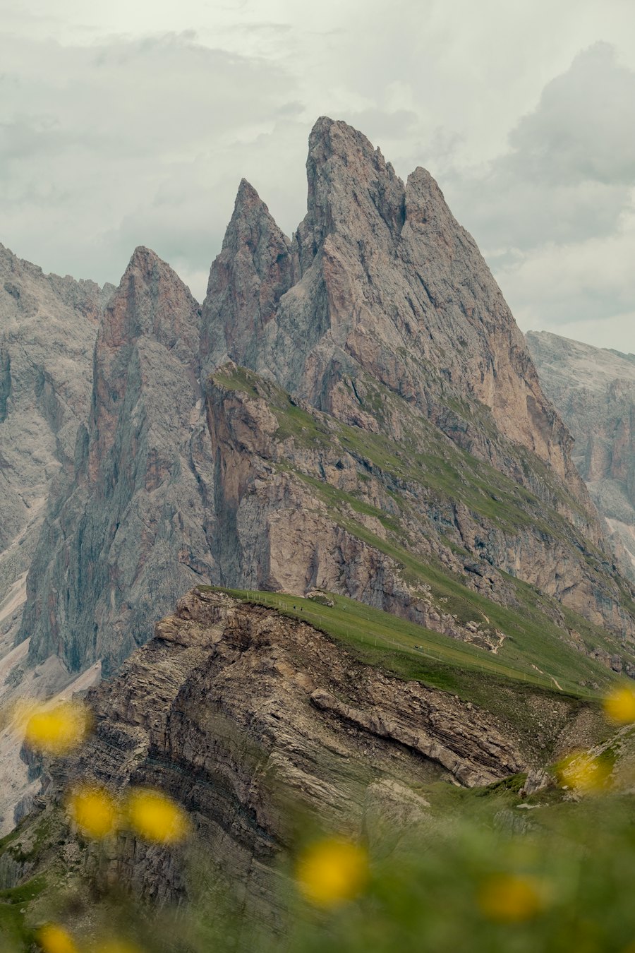 Le punte del Seceda sopra un prato con fiori gialli